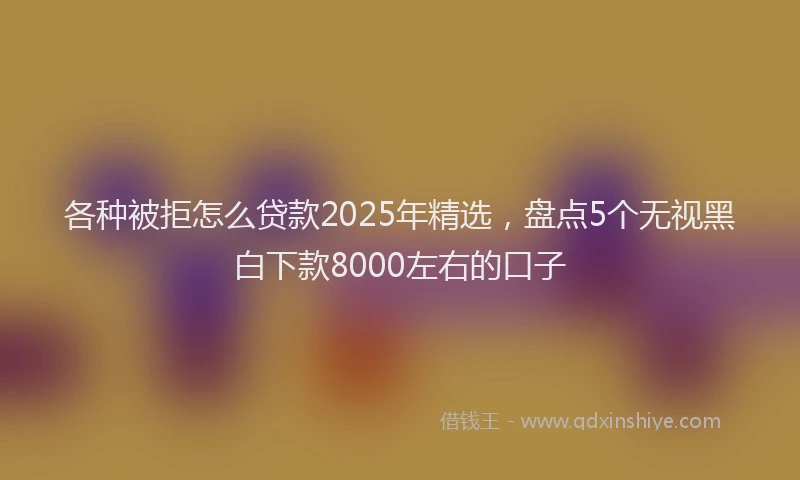 各种被拒怎么贷款2025年精选，盘点5个无视黑白下款8000左右的口子