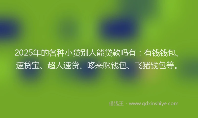 2025年的各种小贷别人能贷款吗有：有钱钱包、速贷宝、超人速贷、哆来咪钱包、飞猪钱包等。