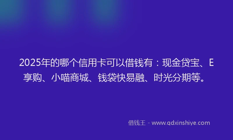 2025年的哪个信用卡可以借钱有：现金贷宝、E享购、小喵商城、钱袋快易融、时光分期等。