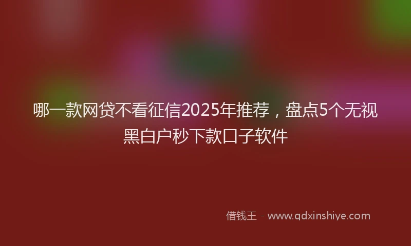 哪一款网贷不看征信2025年推荐，盘点5个无视黑白户秒下款口子软件
