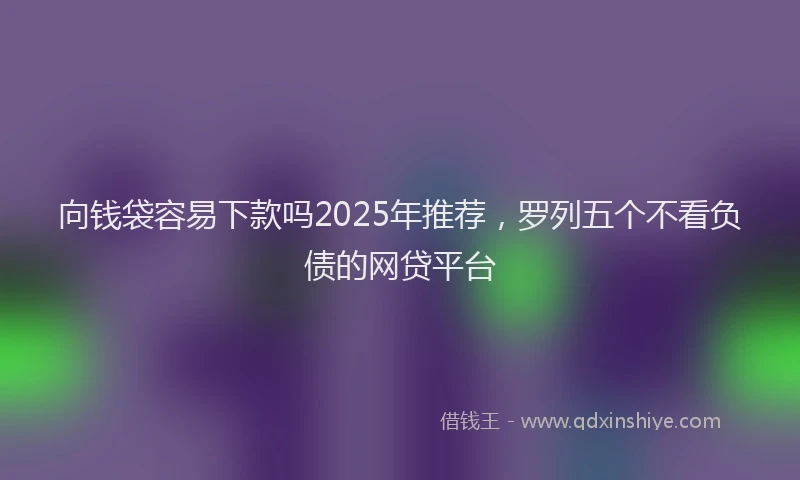 向钱袋容易下款吗2025年推荐，罗列五个不看负债的网贷平台
