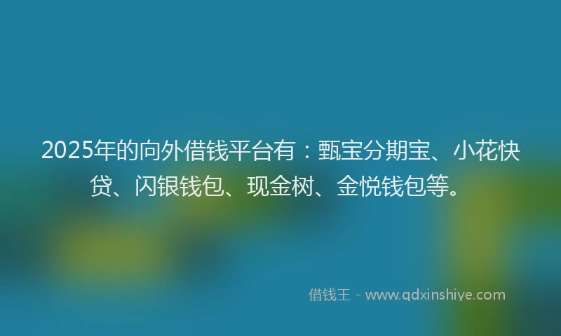 2025年的向外借钱平台有：甄宝分期宝、小花快贷、闪银钱包、现金树、金悦钱包等。