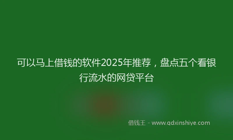 可以马上借钱的软件2025年推荐，盘点五个看银行流水的网贷平台