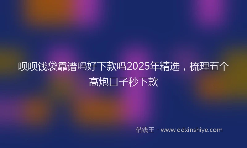 呗呗钱袋靠谱吗好下款吗2025年精选,梳理五个高炮口子秒下款