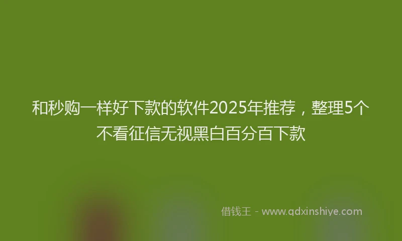 和秒购一样好下款的软件2025年推荐，整理5个不看征信无视黑白百分百下款
