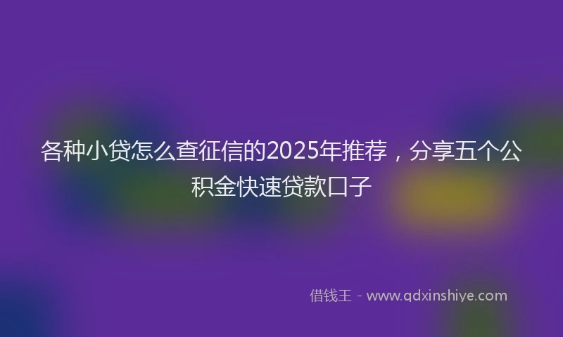 各种小贷怎么查征信的2025年推荐，分享五个公积金快速贷款口子