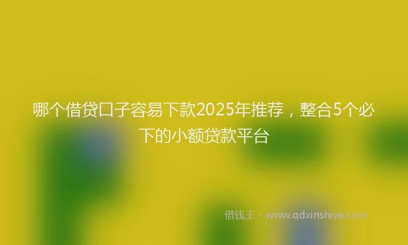 哪个借贷口子容易下款2025年推荐,整合5个必下的小额贷款平台