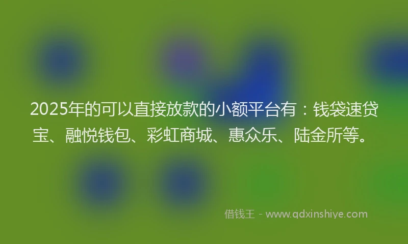2025年的可以直接放款的小额平台有：钱袋速贷宝、融悦钱包、彩虹商城、惠众乐、陆金所等。