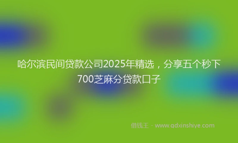 哈尔滨民间贷款公司2025年精选，分享五个秒下700芝麻分贷款口子