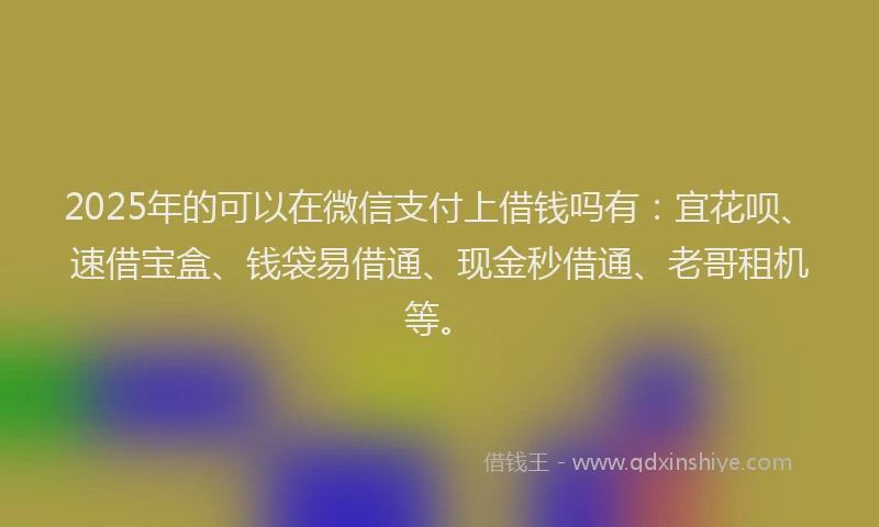 2025年的可以在微信支付上借钱吗有：宜花呗、速借宝盒、钱袋易借通、现金秒借通、老哥租机等。
