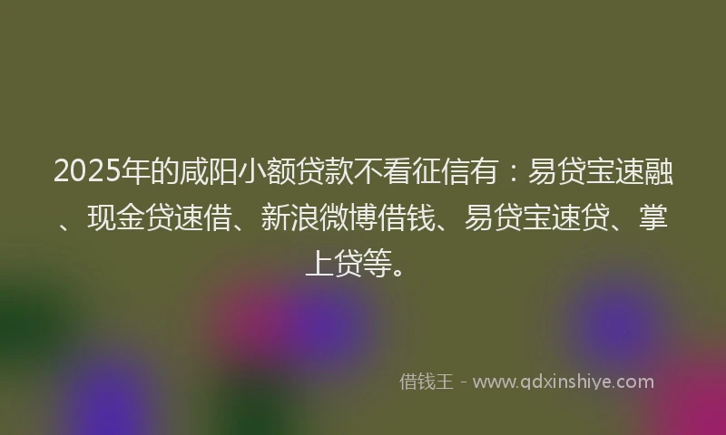 2025年的咸阳小额贷款不看征信有：易贷宝速融、现金贷速借、新浪微博借钱、易贷宝速贷、掌上贷等。