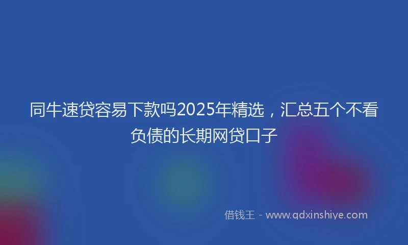 同牛速贷容易下款吗2025年精选，汇总五个不看负债的长期网贷口子