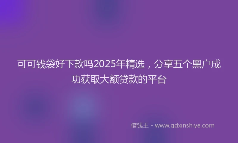 可可钱袋好下款吗2025年精选，分享五个黑户成功获取大额贷款的平台