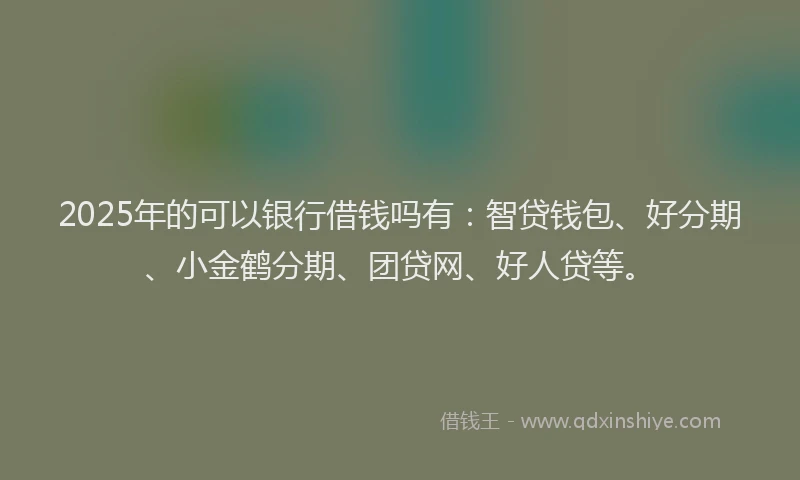 2025年的可以银行借钱吗有：智贷钱包、好分期、小金鹤分期、团贷网、好人贷等。
