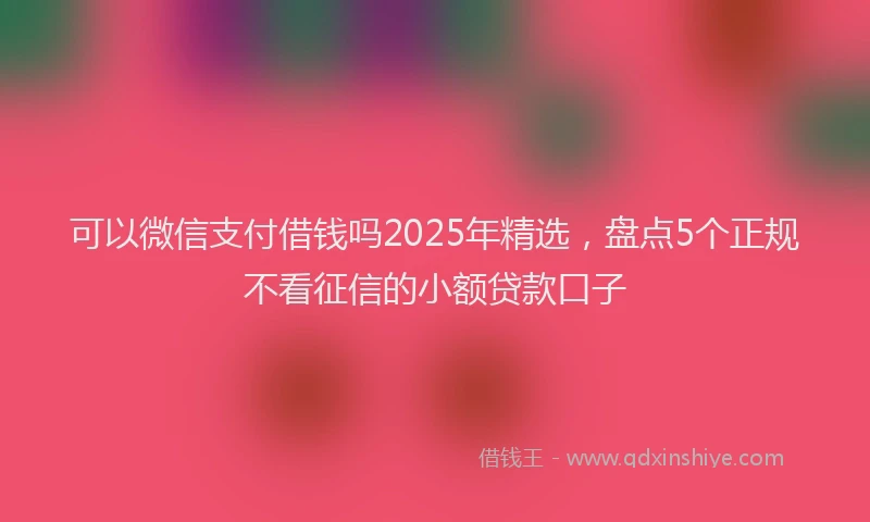 可以微信支付借钱吗2025年精选，盘点5个正规不看征信的小额贷款口子