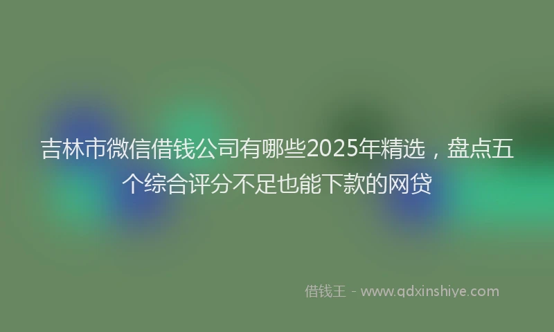 吉林市微信借钱公司有哪些2025年精选，盘点五个综合评分不足也能下款的网贷