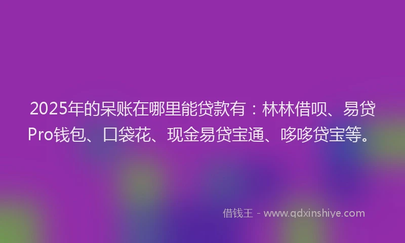 2025年的呆账在哪里能贷款有：林林借呗、易贷Pro钱包、口袋花、现金易贷宝通、哆哆贷宝等。