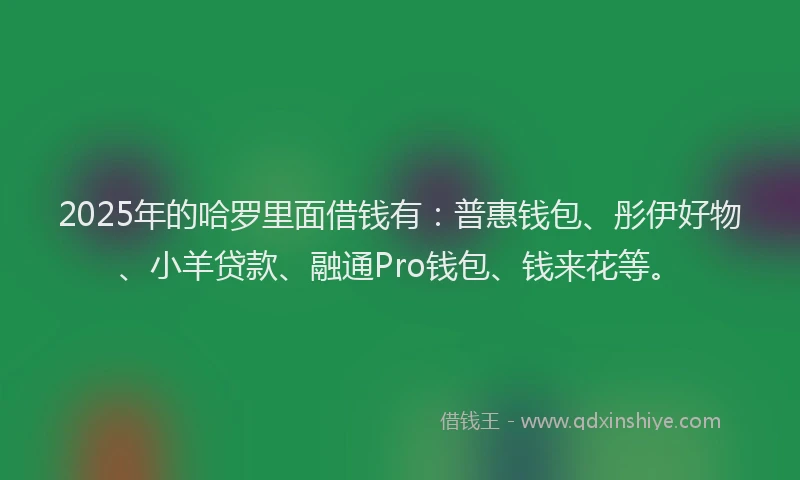 2025年的哈罗里面借钱有：普惠钱包、彤伊好物、小羊贷款、融通Pro钱包、钱来花等。