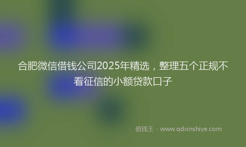 合肥微信借钱公司2025年精选，整理五个正规不看征信的小额贷款口子