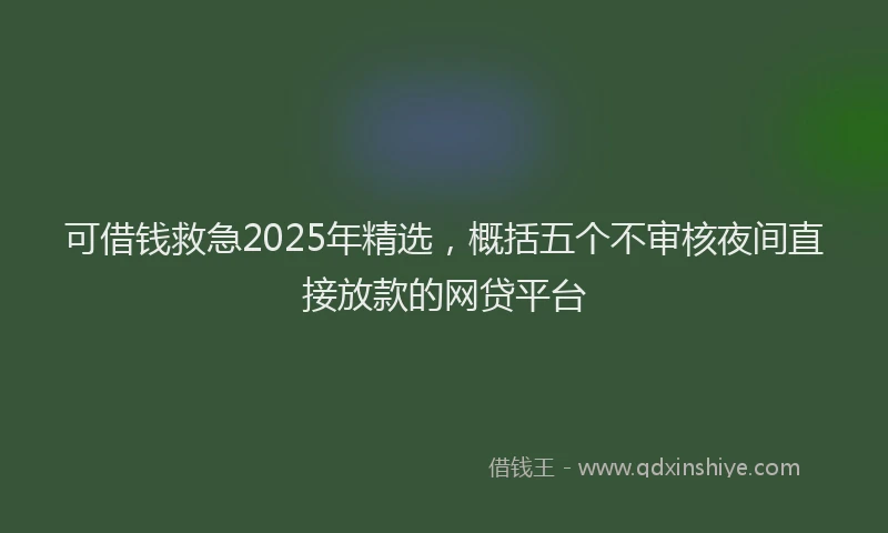 可借钱救急2025年精选，概括五个不审核夜间直接放款的网贷平台