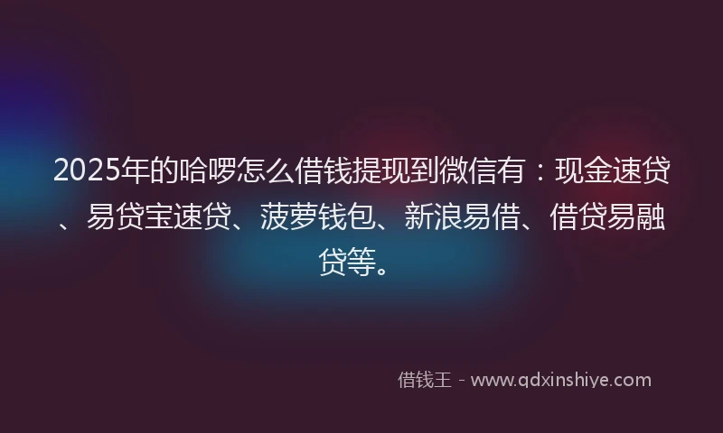 2025年的哈啰怎么借钱提现到微信有：现金速贷、易贷宝速贷、菠萝钱包、新浪易借、借贷易融贷等。