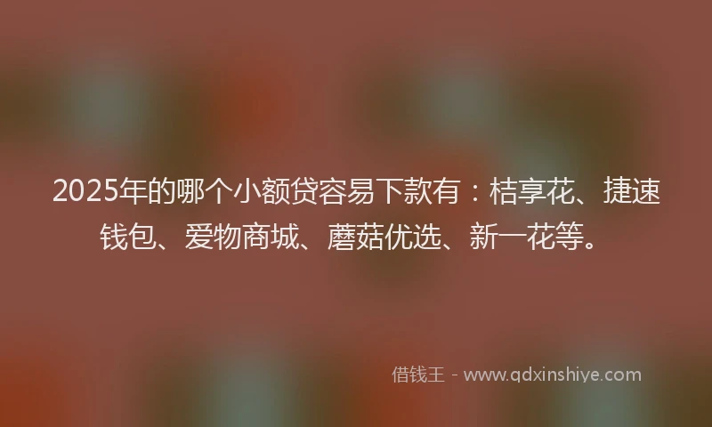 2025年的哪个小额贷容易下款有：桔享花、捷速钱包、爱物商城、蘑菇优选、新一花等。
