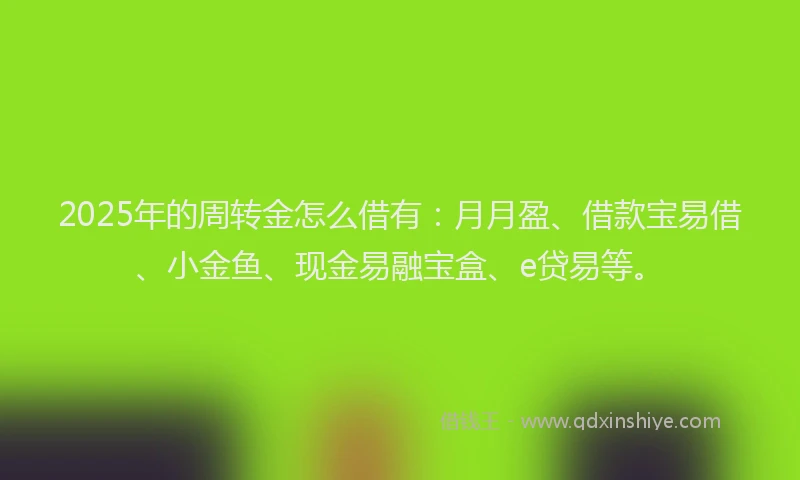 2025年的周转金怎么借有：月月盈、借款宝易借、小金鱼、现金易融宝盒、e贷易等。
