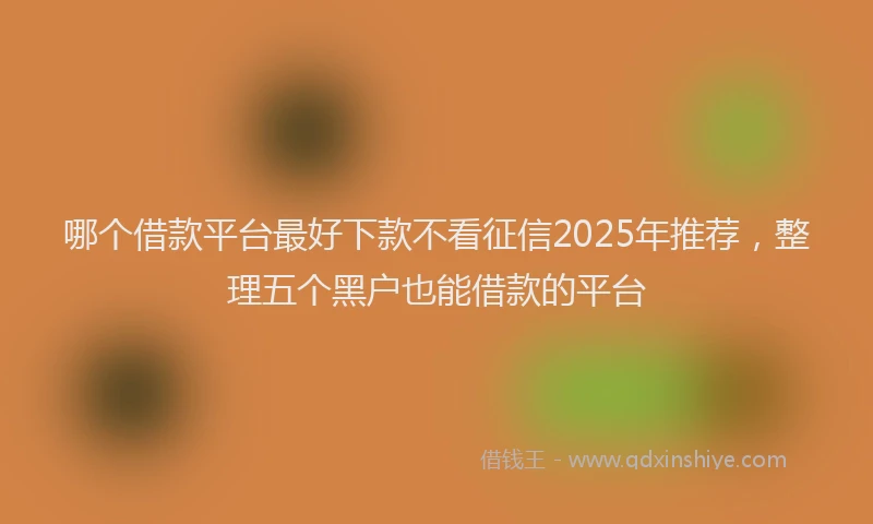 哪个借款平台最好下款不看征信2025年推荐，整理五个黑户也能借款的平台
