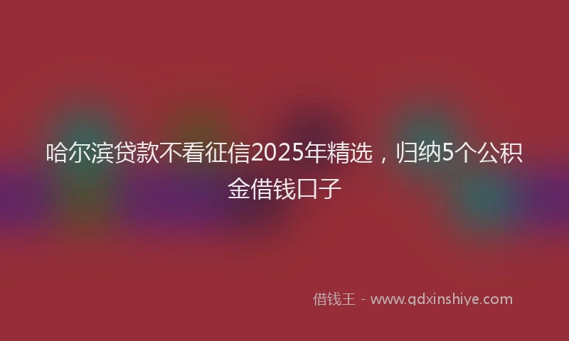 哈尔滨贷款不看征信2025年精选，归纳5个公积金借钱口子