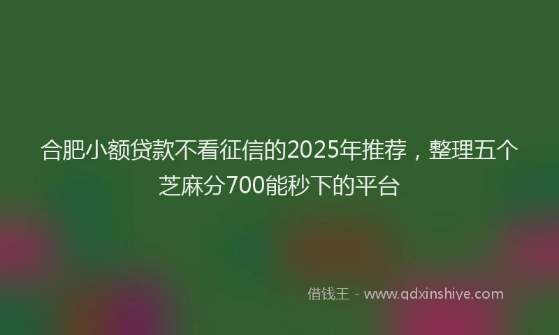 合肥小额贷款不看征信的2025年推荐，整理五个芝麻分700能秒下的平台