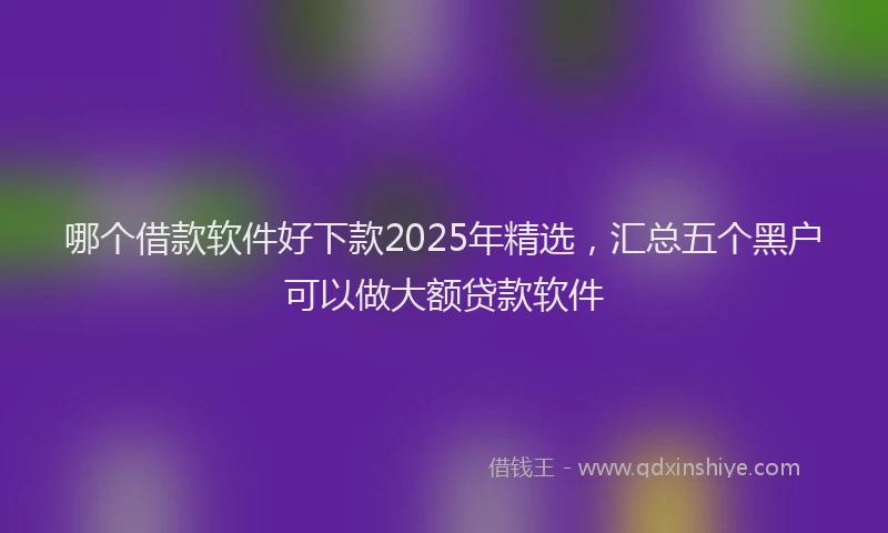 哪个借款软件好下款2025年精选，汇总五个黑户可以做大额贷款软件