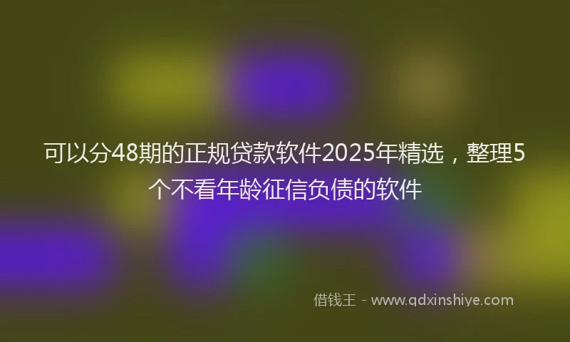 可以分48期的正规贷款软件2025年精选，整理5个不看年龄征信负债的软件