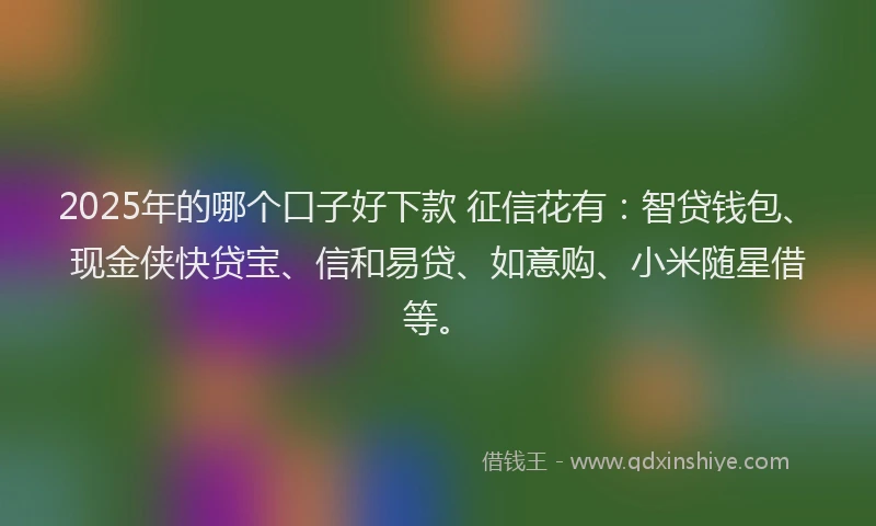 2025年的哪个口子好下款 征信花有：智贷钱包、现金侠快贷宝、信和易贷、如意购、小米随星借等。