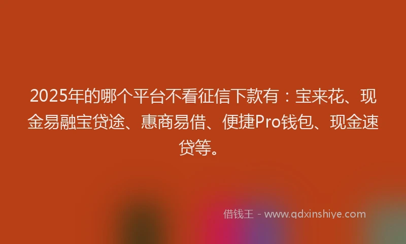 2025年的哪个平台不看征信下款有：宝来花、现金易融宝贷途、惠商易借、便捷Pro钱包、现金速贷等。
