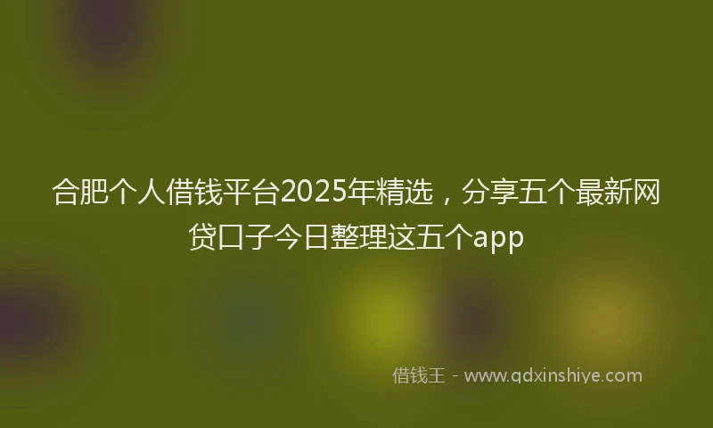 合肥个人借钱平台2025年精选，分享五个最新网贷口子今日整理这五个app