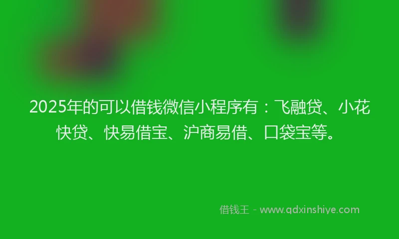 2025年的可以借钱微信小程序有：飞融贷、小花快贷、快易借宝、沪商易借、口袋宝等。