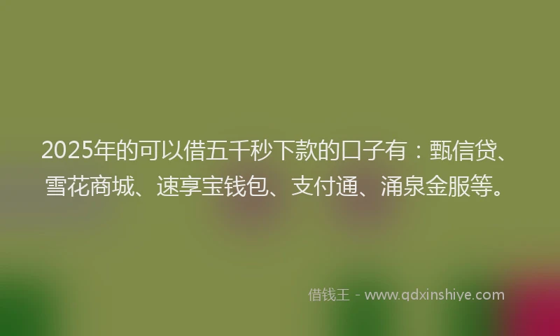 2025年的可以借五千秒下款的口子有：甄信贷、雪花商城、速享宝钱包、支付通、涌泉金服等。