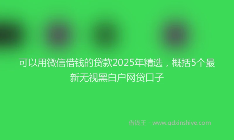 可以用微信借钱的贷款2025年精选，概括5个最新无视黑白户网贷口子