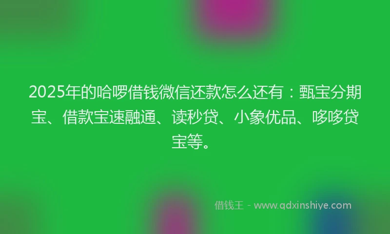 2025年的哈啰借钱微信还款怎么还有：甄宝分期宝、借款宝速融通、读秒贷、小象优品、哆哆贷宝等。