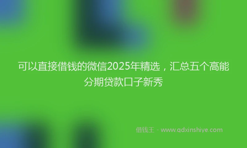 可以直接借钱的微信2025年精选，汇总五个高能分期贷款口子新秀