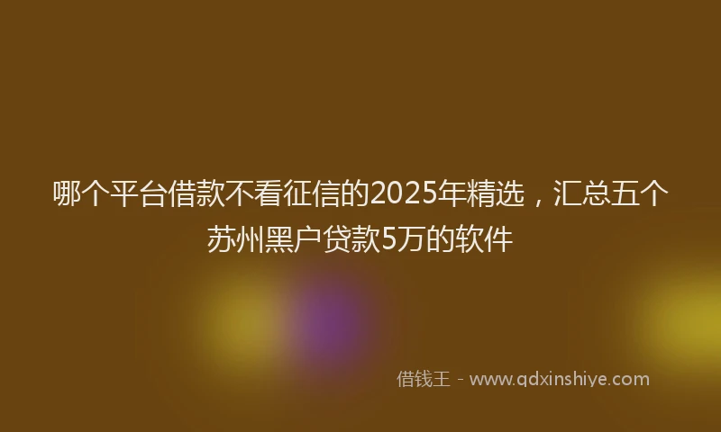 哪个平台借款不看征信的2025年精选，汇总五个苏州黑户贷款5万的软件