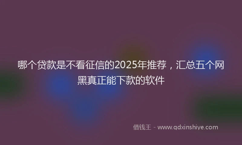哪个贷款是不看征信的2025年推荐，汇总五个网黑真正能下款的软件