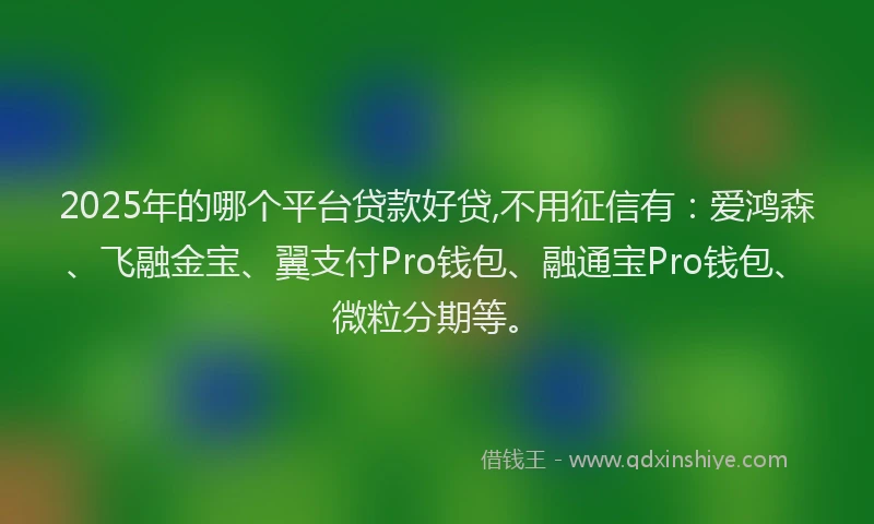 2025年的哪个平台贷款好贷,不用征信有：爱鸿森、飞融金宝、翼支付Pro钱包、融通宝Pro钱包、微粒分期等。