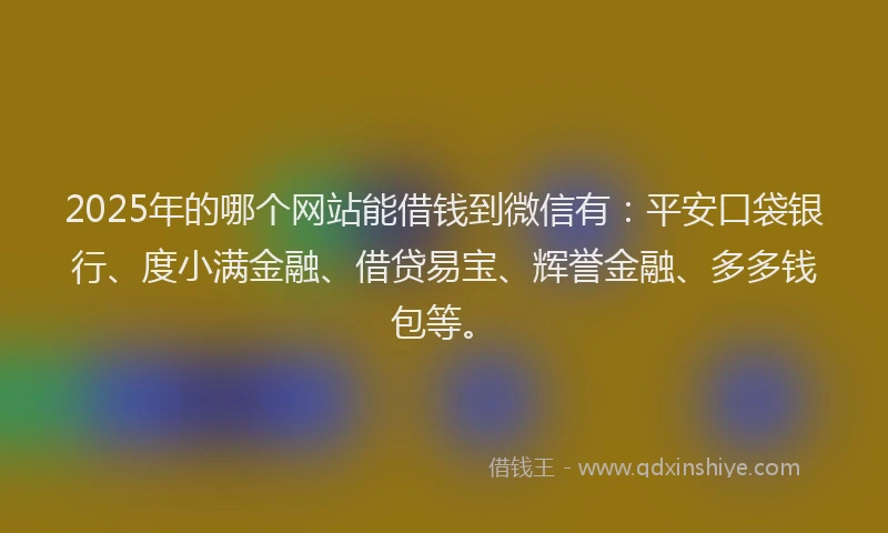 2025年的哪个网站能借钱到微信有：平安口袋银行、度小满金融、借贷易宝、辉誉金融、多多钱包等。