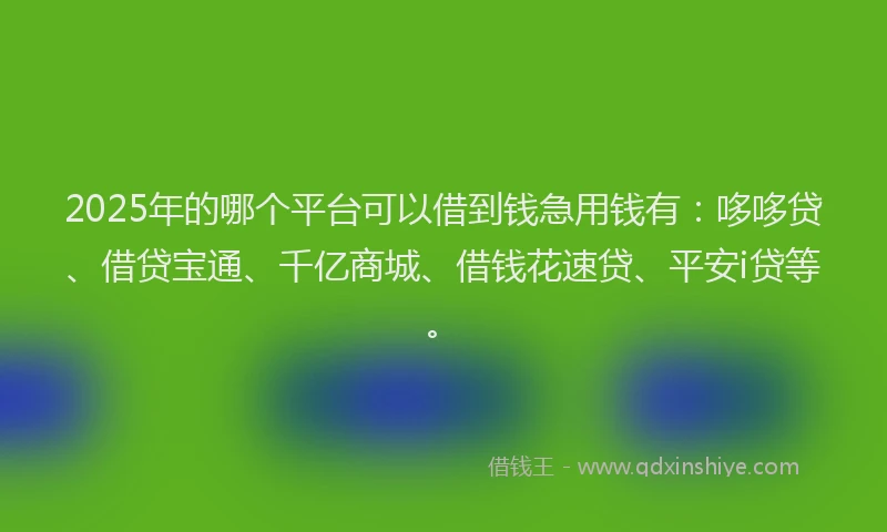 2025年的哪个平台可以借到钱急用钱有：哆哆贷、借贷宝通、千亿商城、借钱花速贷、平安i贷等。