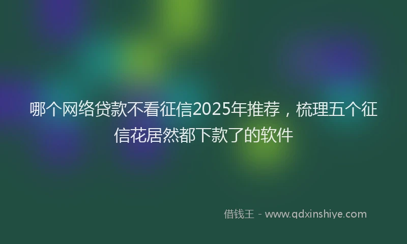 哪个网络贷款不看征信2025年推荐，梳理五个征信花居然都下款了的软件