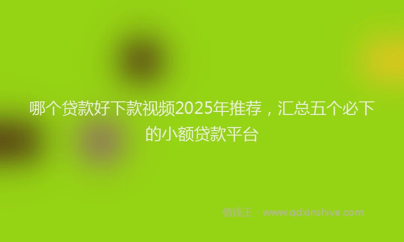 哪个贷款好下款视频2025年推荐，汇总五个必下的小额贷款平台