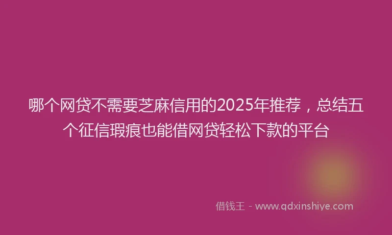 哪个网贷不需要芝麻信用的2025年推荐，总结五个征信瑕疵也能借网贷轻松下款的平台