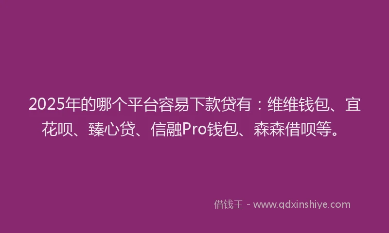 2025年的哪个平台容易下款贷有：维维钱包、宜花呗、臻心贷、信融Pro钱包、森森借呗等。