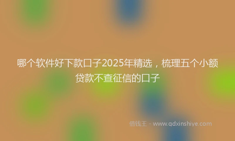 哪个软件好下款口子2025年精选，梳理五个小额贷款不查征信的口子